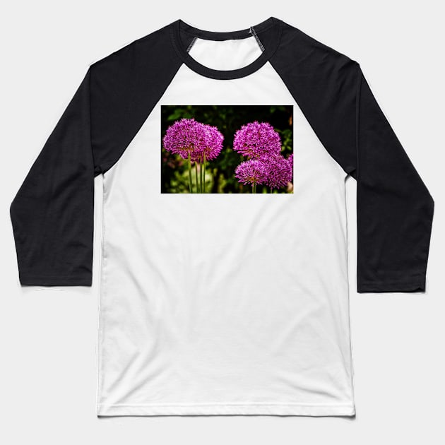 Allium Flowers Baseball T-Shirt by JimDeFazioPhotography